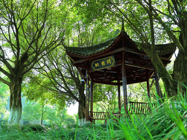 1688435290654053302.png 封面及第一张.png