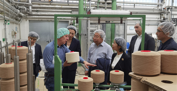 1702259236140079773.jpg 2.jpg