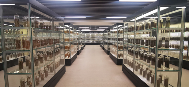 1709100491486073874.jpg 微信图片_20240228135417.jpg