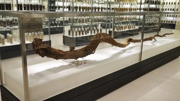 1716174748349074200.jpg 5_副本.jpg