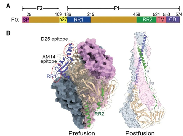 1727419166378057024.jpg 2.jpg