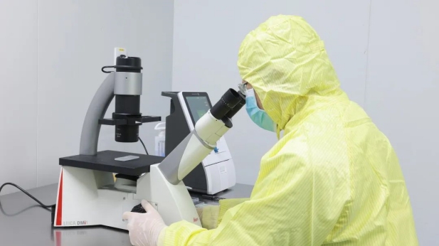 1741066863450040461.jpg 11.jpg