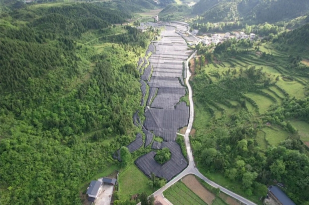 1741672512260053362.jpg 2.jpg